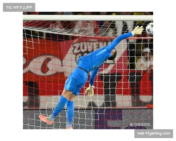 热刺门将维卡里奥接受疝气手术 赛季提前报销无法出战